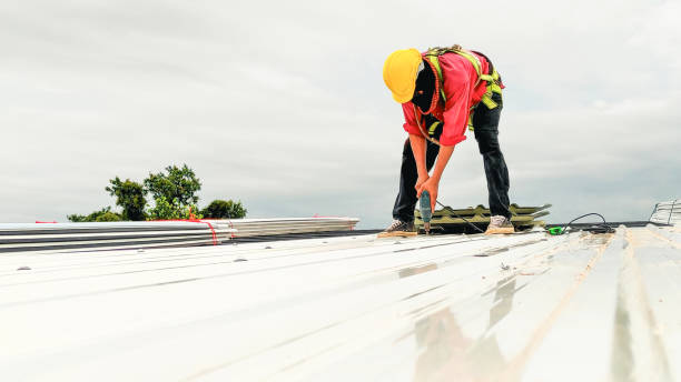 Best Rubber Roofing (EPDM, TPO)  in Apollo Beach, FL